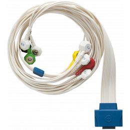 Câble patient 10 brins pour Holter ECG Cardioline Walk400h
