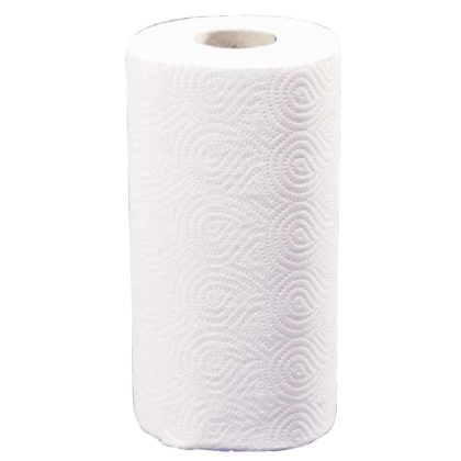 Rouleaux de papier essuie-tout double épaisseur (lot de 4)